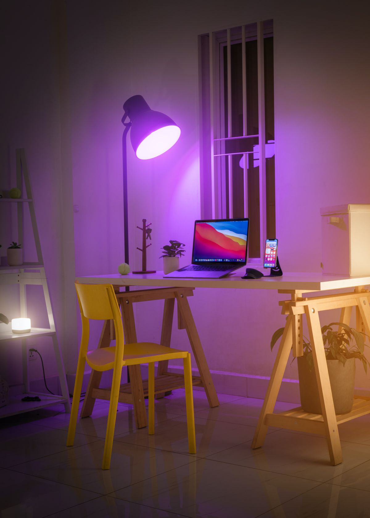 Custom Photo LED Night Lamp — S.Creation Printing Shop