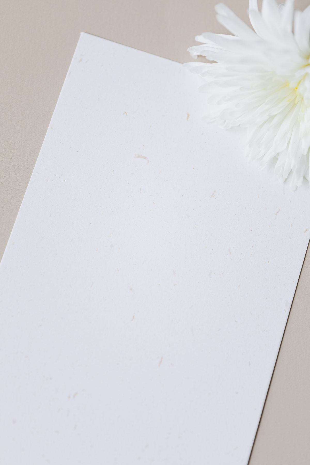 Letterhead — S.Creation